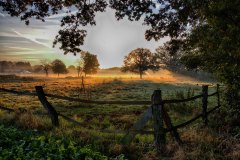 Bergdahlsweg-bei-aufgehender-Sonne-2021-10-10_Bildgroesse-aendern