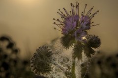 STG_1127-zugeschnitten_Bildgroesse-aendern