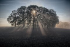 STG_1135_Bildgroesse-aendern
